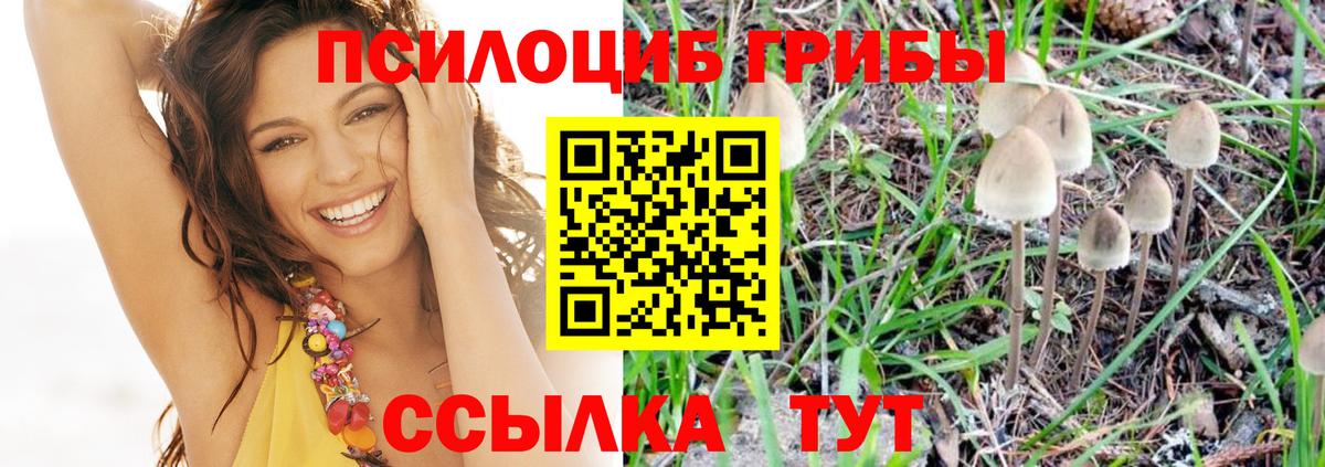 Галлюциногенные грибы прущие грибы  Галлюциногенные грибы GOLDEN TEACHER  Вход с VPN  Омск 
